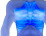 [Male Chest]
