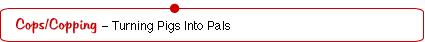 Table of Contents Rollovers